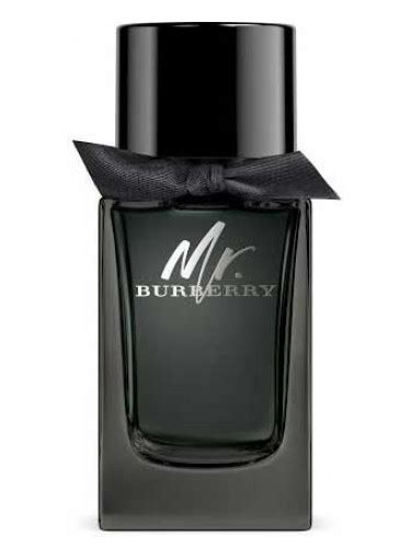 Mr. Burberry Eau de Parfum di Burberry da uomo 